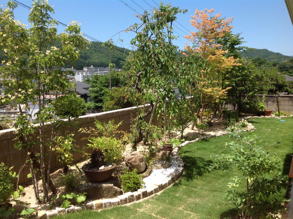 ｆ様邸造園 常緑ヤマボウシが開花 呉緑化センター 植木と造園のブログ